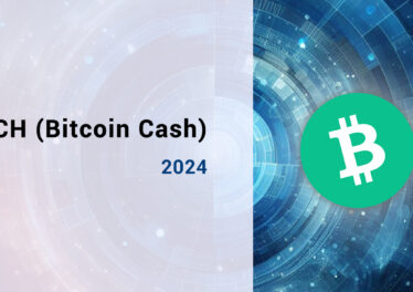 BCH (Bitcoin Cash) forecast for 2024 year