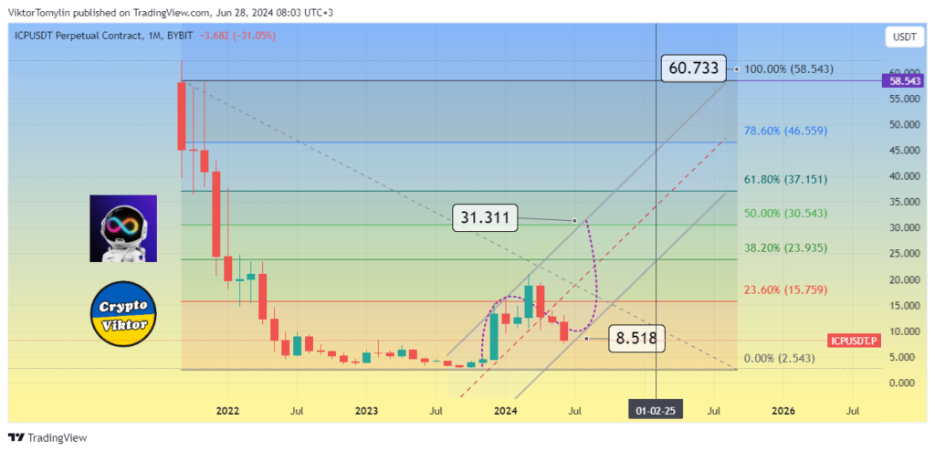 ICP (Internet Computer) forecast for 2024 year