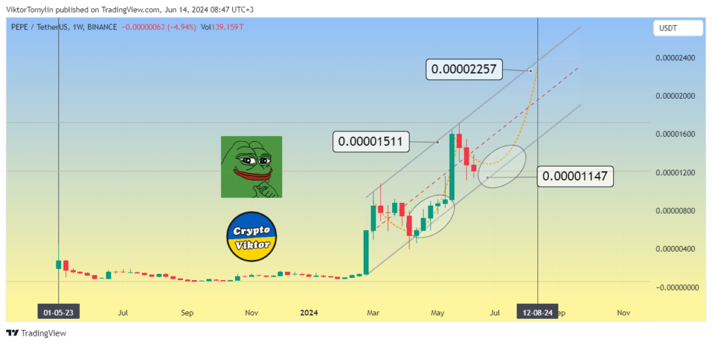 PEPE (Pepe) forecast for 2024 year