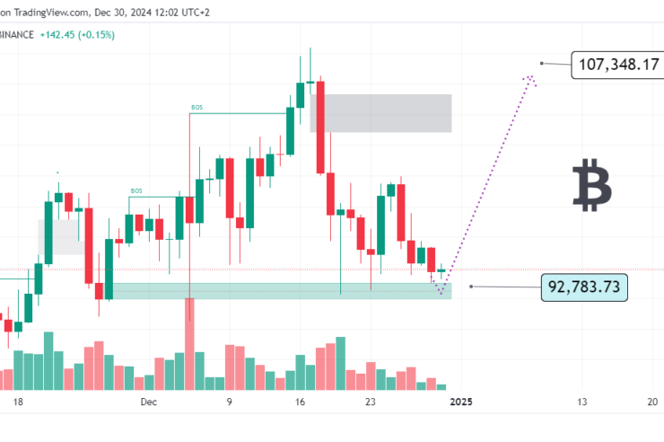 Prediction Bitcoin this week, 30-12-2024